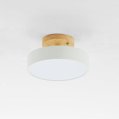 Contemporary LED Ceiling Light Fixture