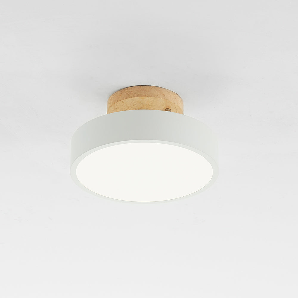 Contemporary LED Ceiling Light Fixture