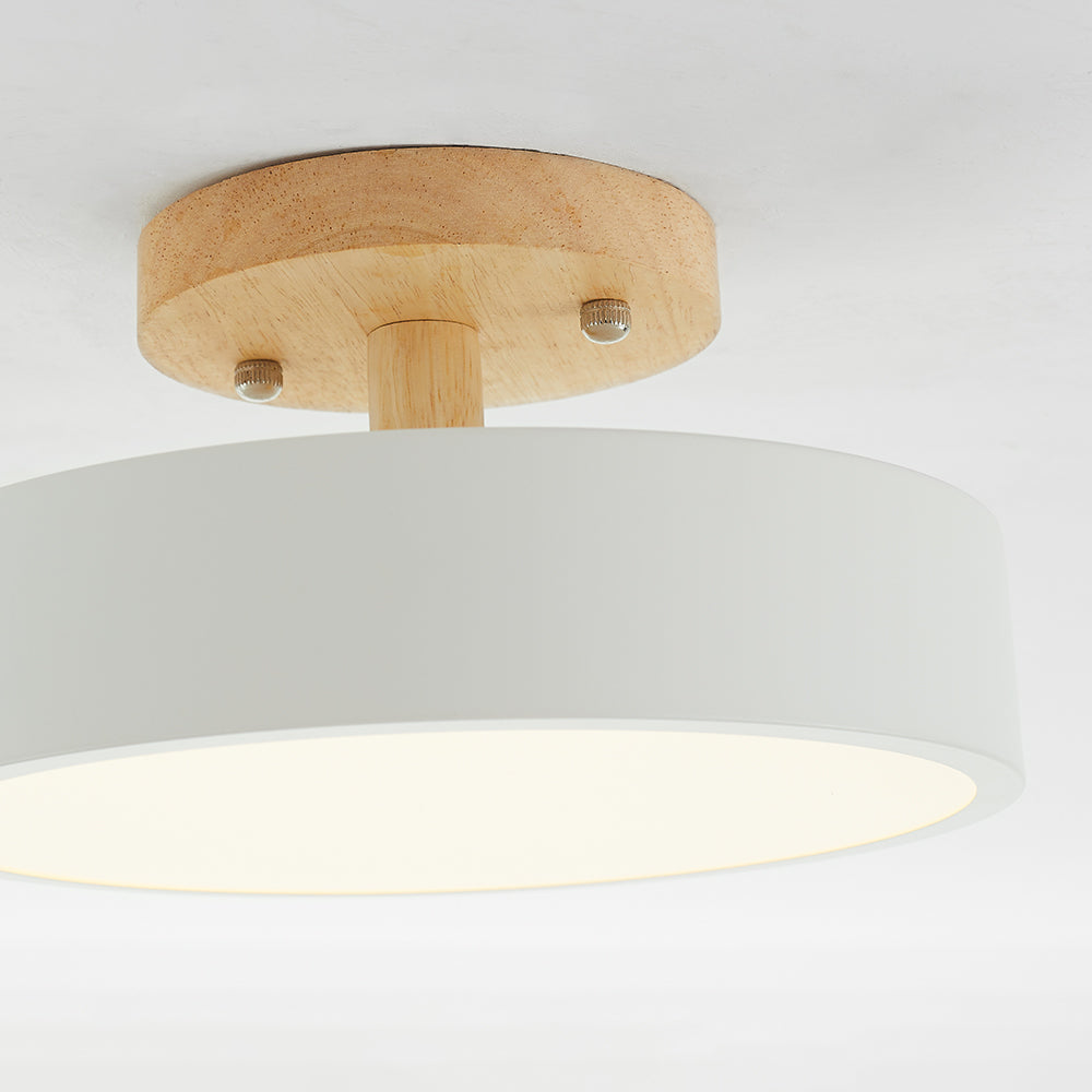 Contemporary LED Ceiling Light Fixture