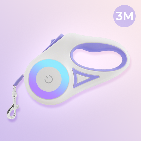 BrightLeash: Illuminated Dog Leash for Night Walks