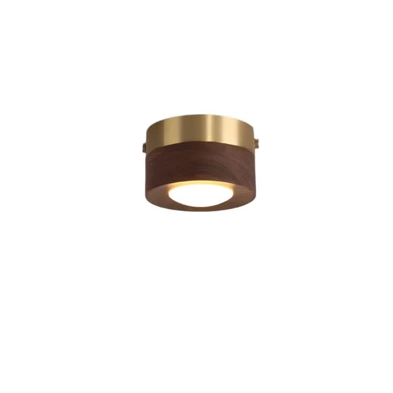 LED Ceiling Light Fixture in Walnut Finish