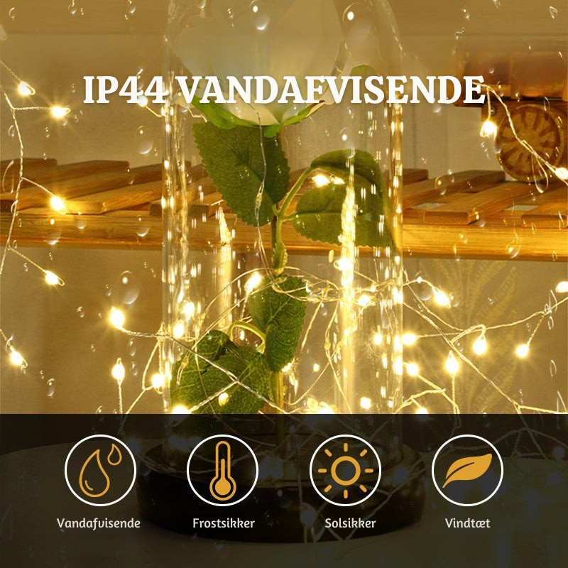 Enchanting Twinkling LED String Lights