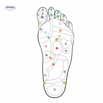 Comfort Insoles with Breathable, Shock-Absorbing Design for Support