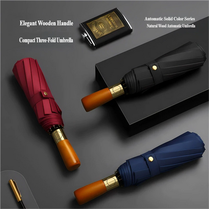 Folding Umbrella with Automatic Open and Close Mechanism