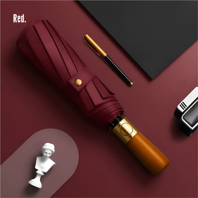 Folding Umbrella with Automatic Open and Close Mechanism