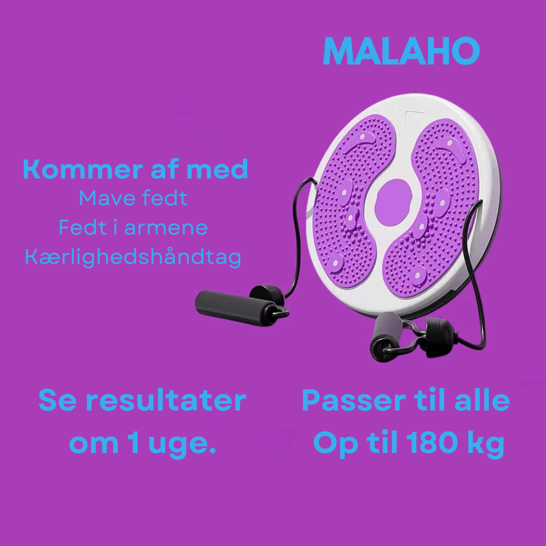 Revolutionary Home Fitness Twister Disk