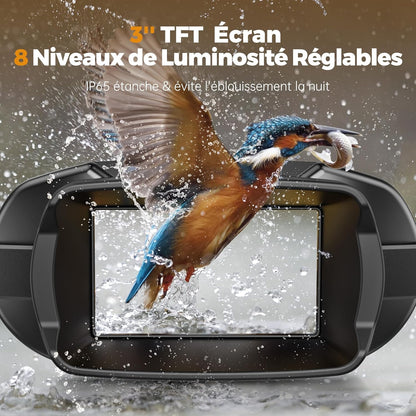 Night Vision Binoculars with Camera Link - 10x Zoom for Day and Night