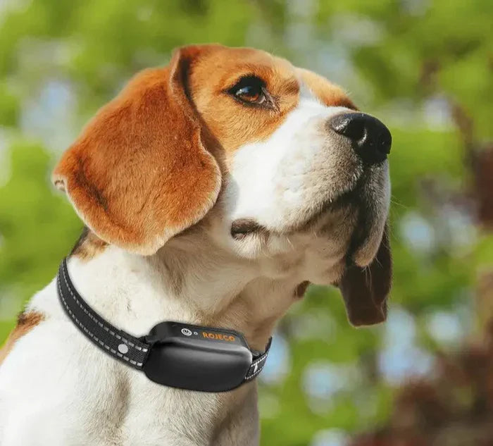 Electric Dog Training Collar with Precise Control Up to 1000 m