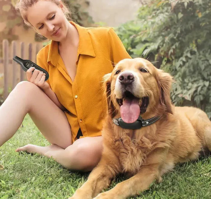 Electric Dog Training Collar with Precise Control Up to 1000 m