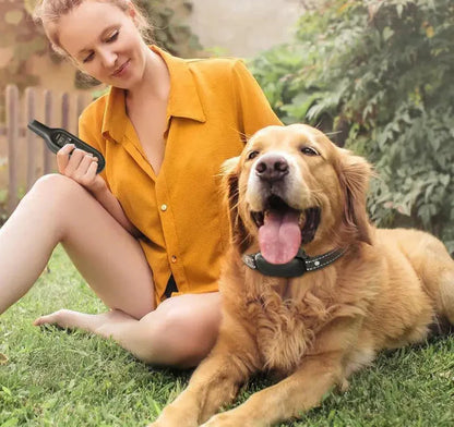 Electric Dog Training Collar with Precise Control Up to 1000 m