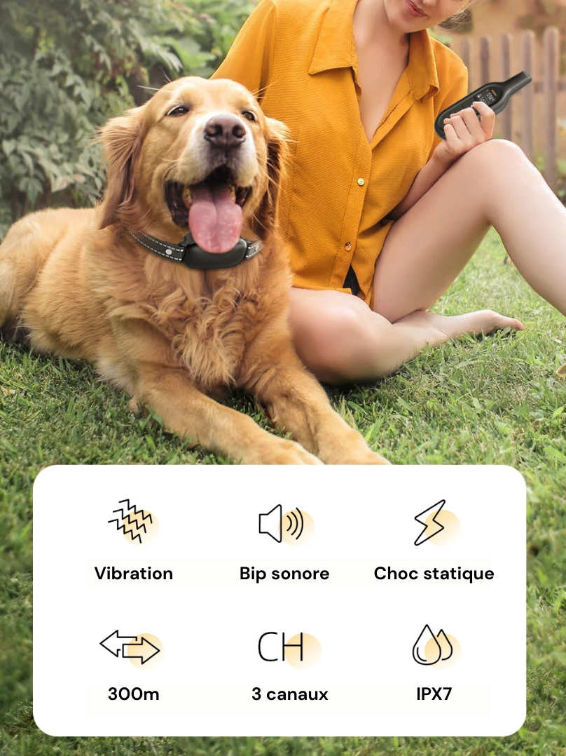 Electric Dog Training Collar with Precise Control Up to 1000 m