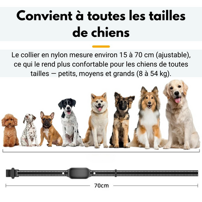 Electric Dog Training Collar with Precise Control Up to 1000 m