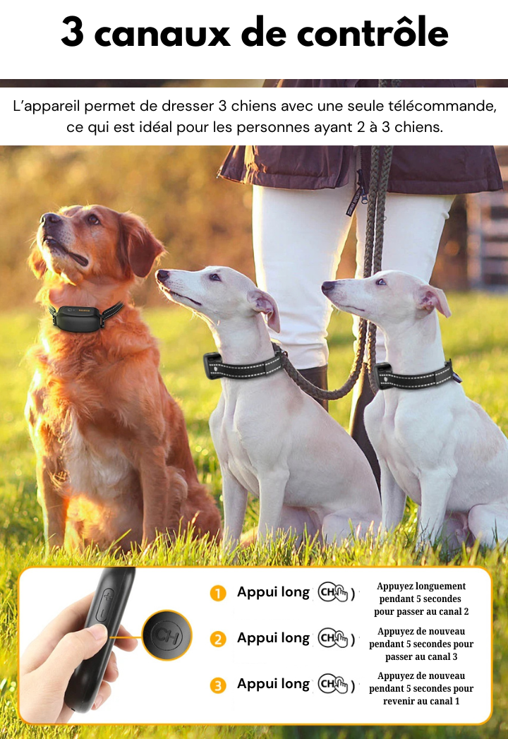 Electric Dog Training Collar with Precise Control Up to 1000 m