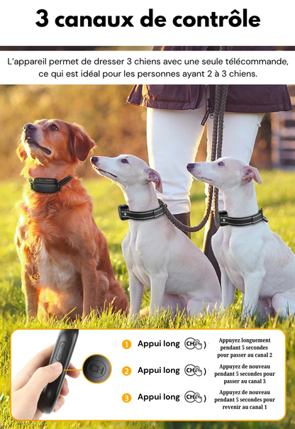 Electric Dog Training Collar with Precise Control Up to 1000 m