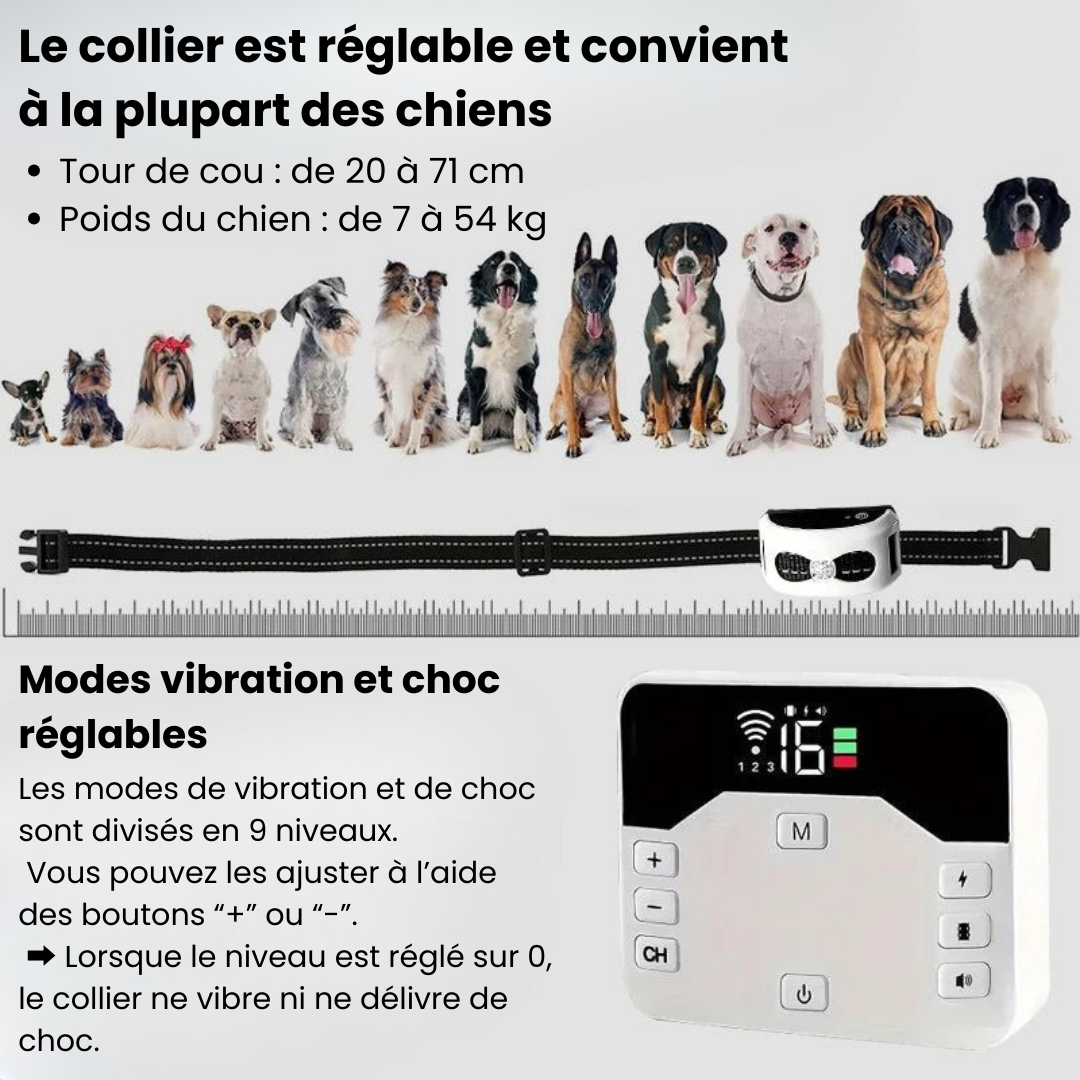 Electric Dog Training Collar with Adjustable Safety Zone