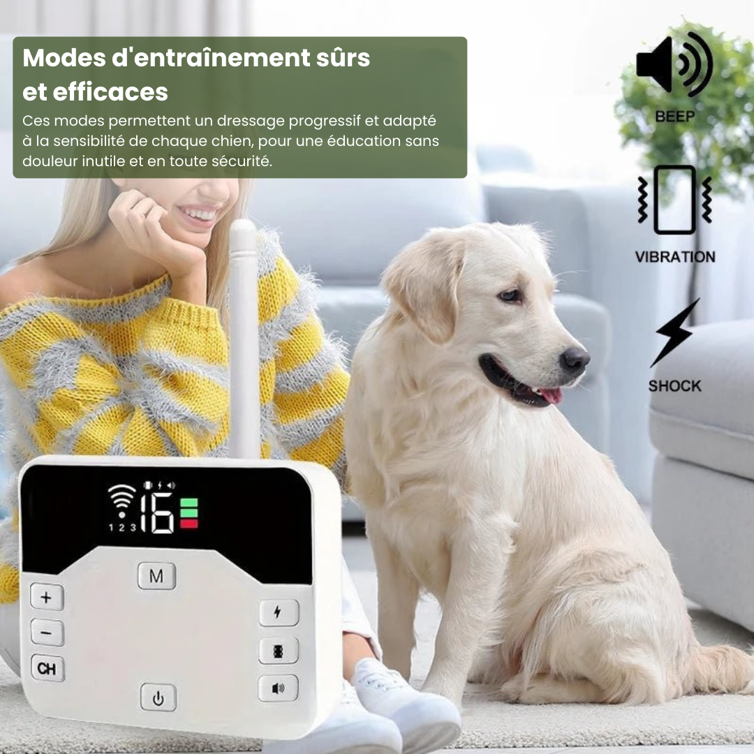 Electric Dog Training Collar with Adjustable Safety Zone