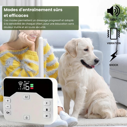 Electric Dog Training Collar with Adjustable Safety Zone