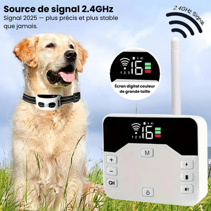 Electric Dog Training Collar with Adjustable Safety Zone
