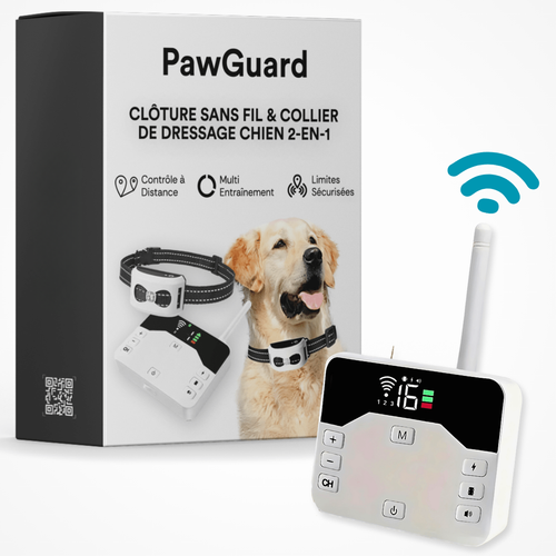 Electric Dog Training Collar with Adjustable Safety Zone
