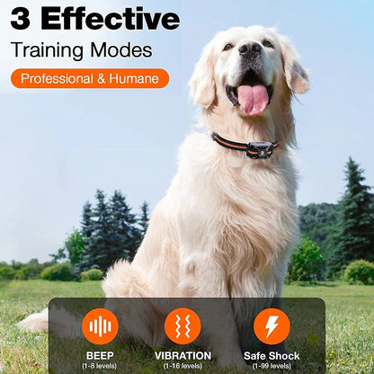 Waterproof Dog Training Collar with 3 Adjustable Modes