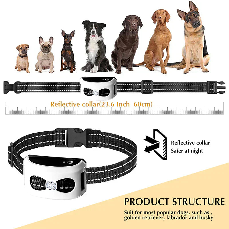 2-in-1 Wireless Dog Fence and Training Collar