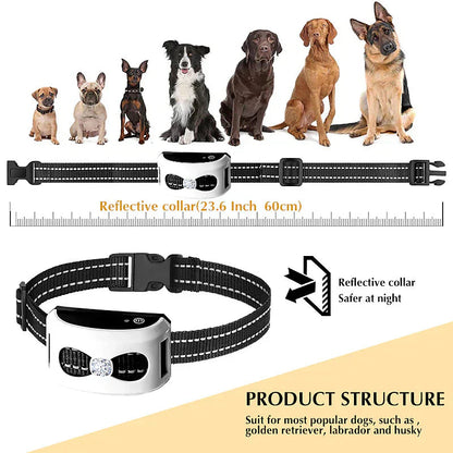 2-in-1 Wireless Dog Fence and Training Collar