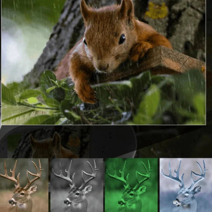 Infrared Binoculars with Night Vision, 300M Range, 8X Zoom