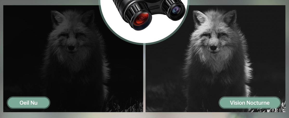 Infrared Binoculars with Night Vision, 300M Range, 8X Zoom