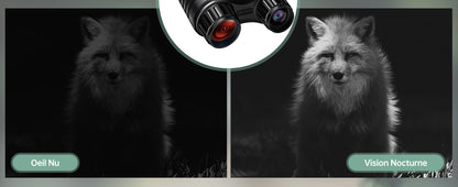 Infrared Binoculars with Night Vision, 300M Range, 8X Zoom