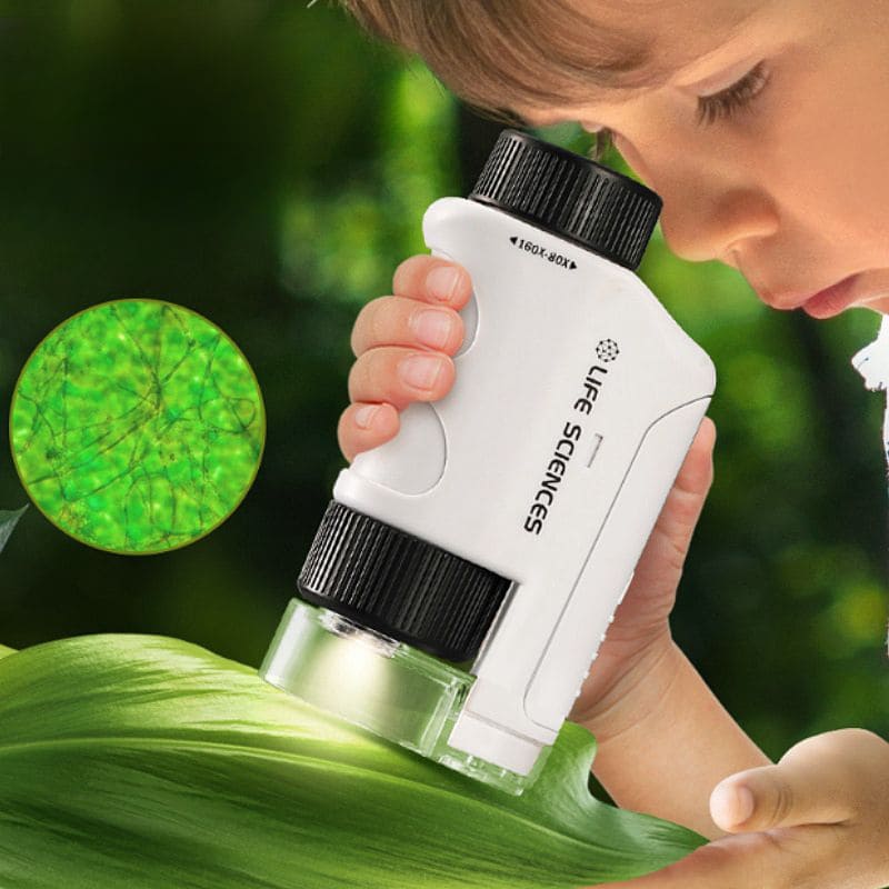 Children's Pocket Microscope for Early Exploration Activities