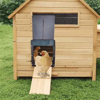 Automatic Chicken Coop Door – Secure and Simple Installation