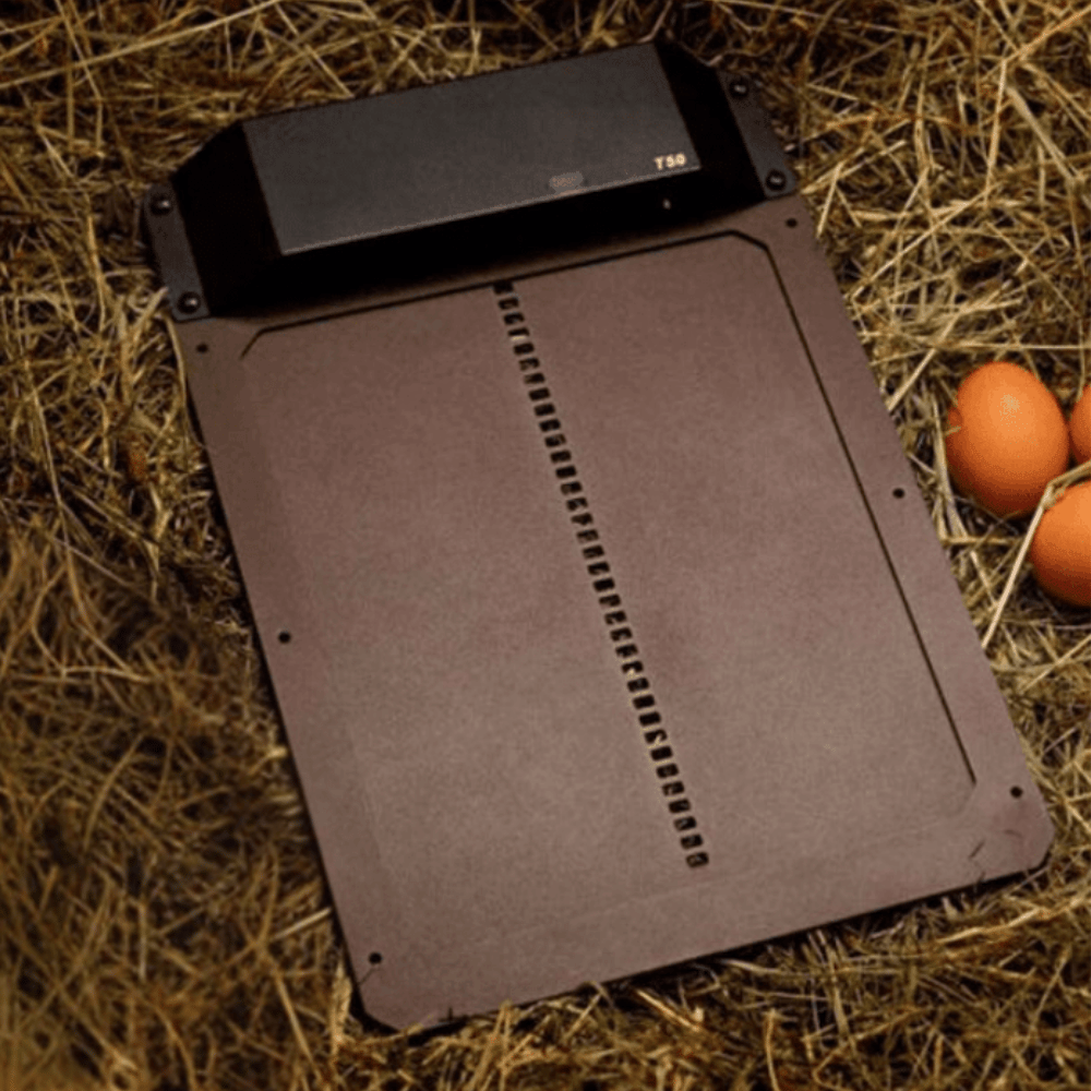 Automatic Chicken Coop Door – Secure and Simple Installation