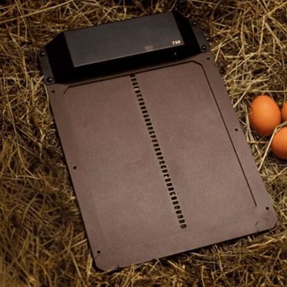 Automatic Chicken Coop Door – Secure and Simple Installation