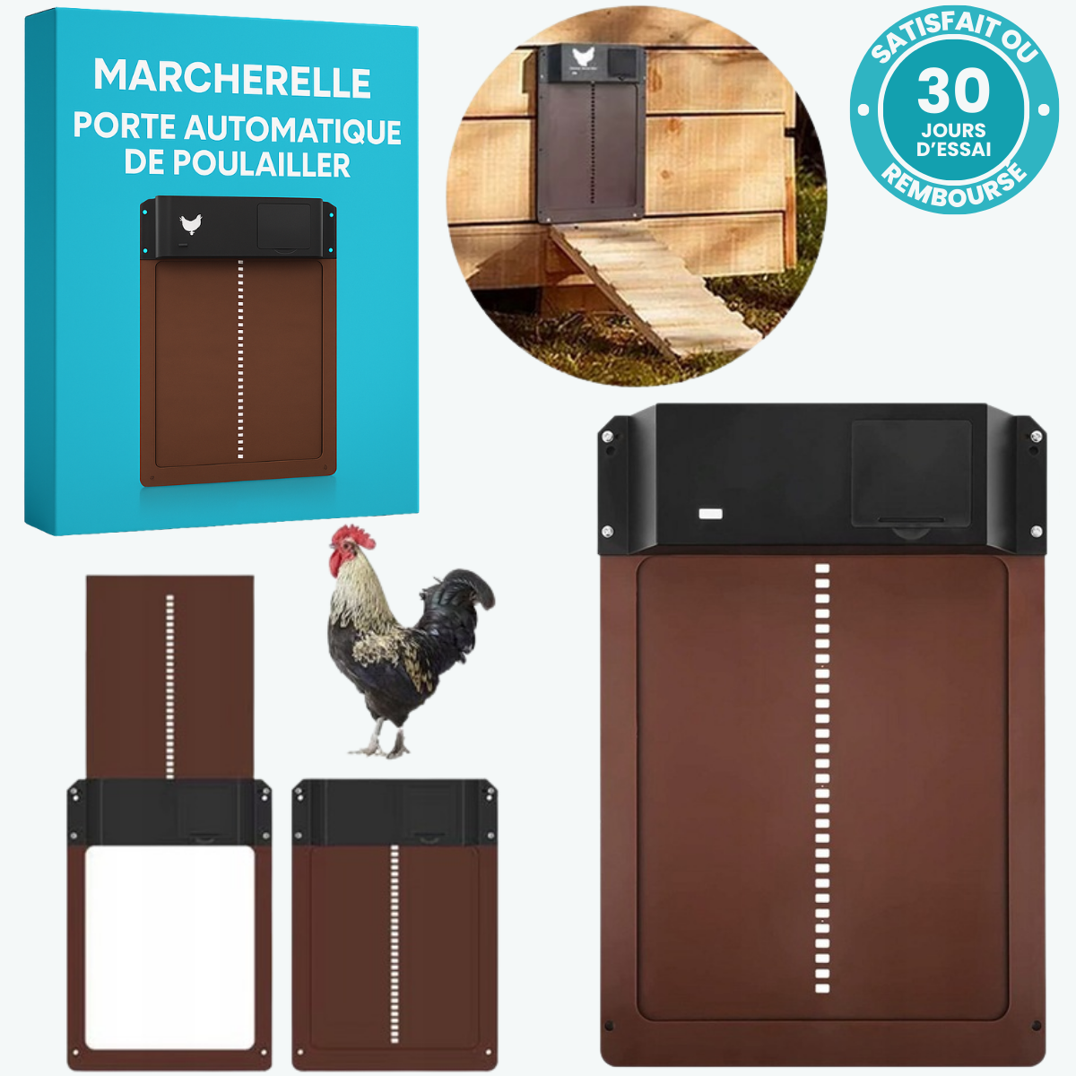 Automatic Chicken Coop Door – Secure and Simple Installation