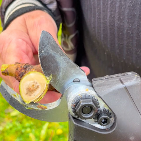 Cordless Electric Pruning Shears for Professional Use