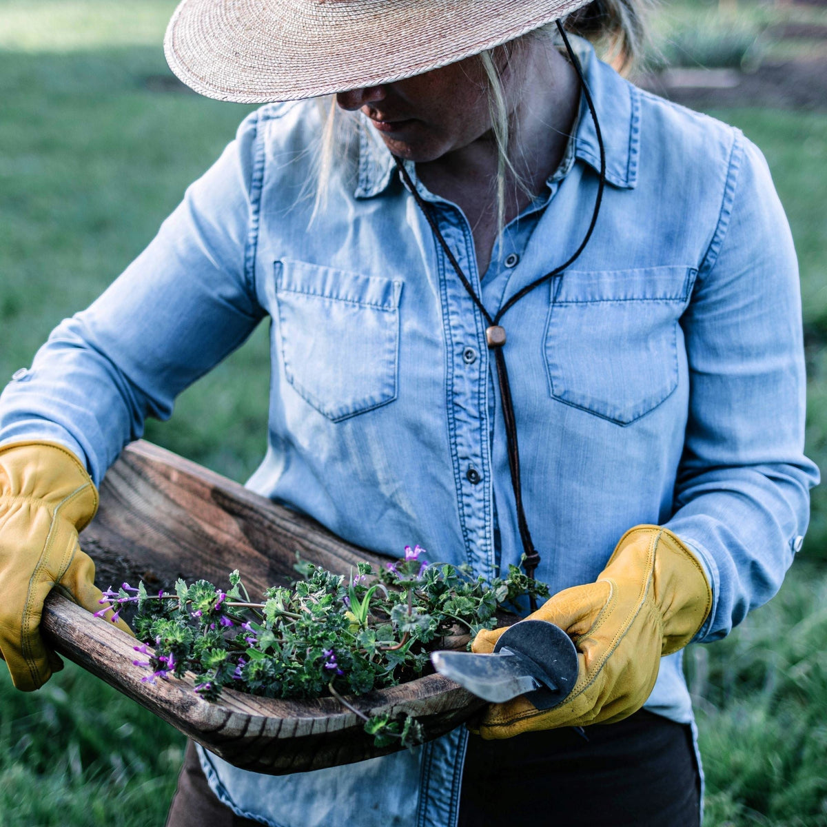 Versatile Garden Companion Tool