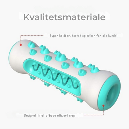 Interactive Rubber Dog Toy with Cleaning Features