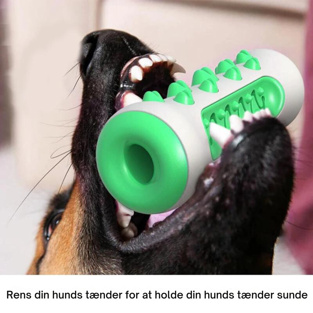 Interactive Rubber Dog Toy with Cleaning Features