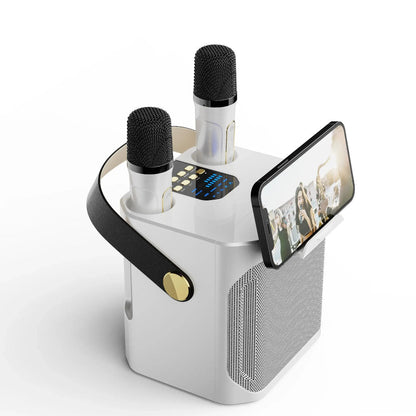Wireless Speaker for Singing with Dual Microphones