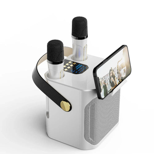 Wireless Speaker for Singing with Dual Microphones