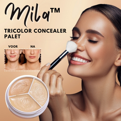 GlowCraft - Tri-Color Concealer Palette for Flawless Skin