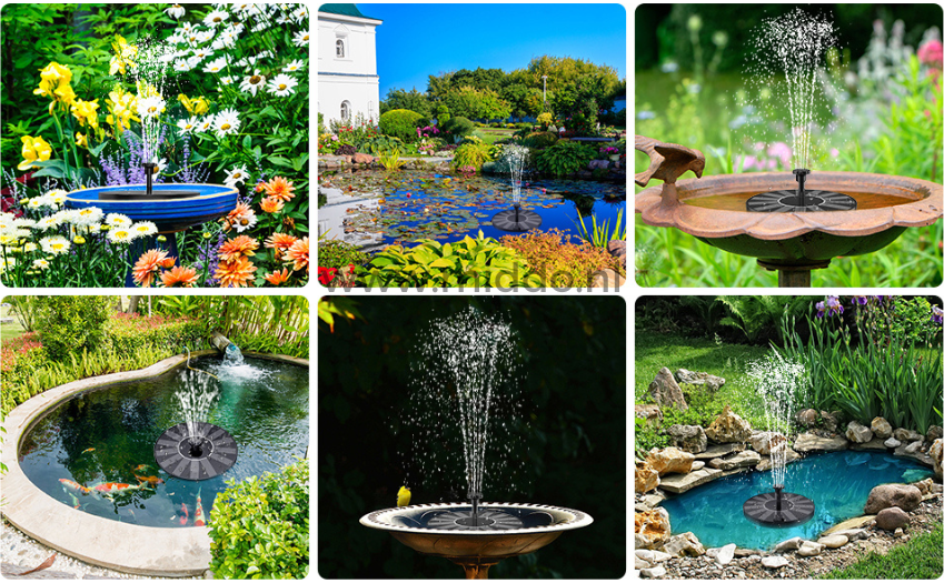 EcoFlow Solar Fountain | Eco-Friendly Water Feature for Ponds and Pools with Sustainable Energy Supply