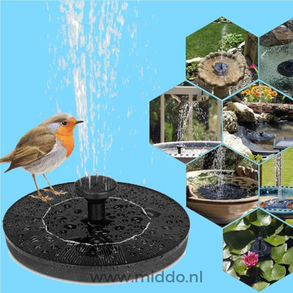 EcoFlow Solar Fountain | Eco-Friendly Water Feature for Ponds and Pools with Sustainable Energy Supply