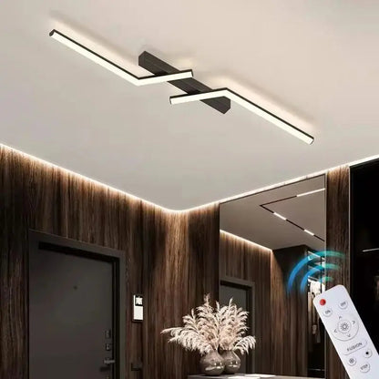 Chic Ceiling Lamp with LED for Contemporary Illumination
