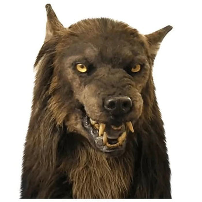 Realistic Halloween Werewolf Mask for Cosplay Events