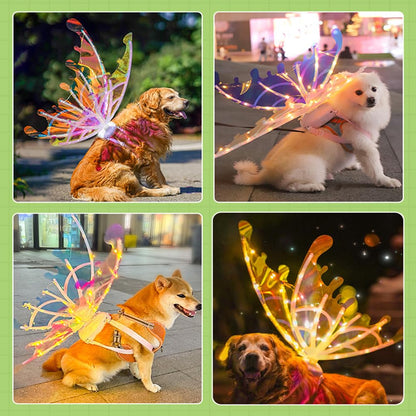 Enchanting Fairy Wings for Imaginative Adventures