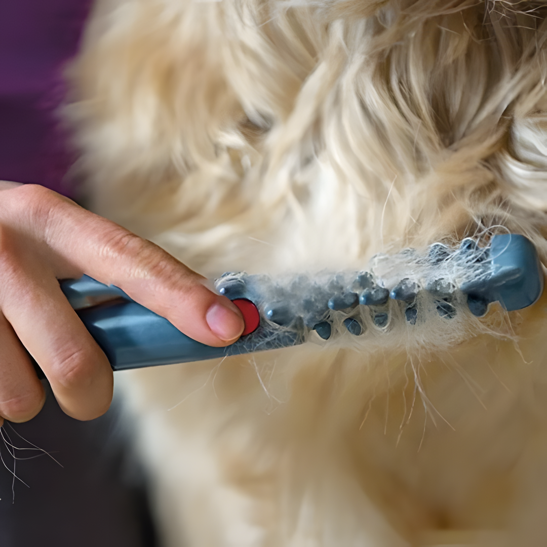 Cordless Pet Grooming Clipper | Pain-Free Fur Care | For Dogs & Cats