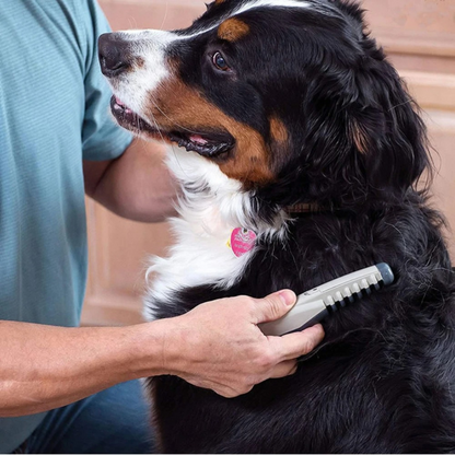 Cordless Pet Grooming Clipper | Pain-Free Fur Care | For Dogs & Cats