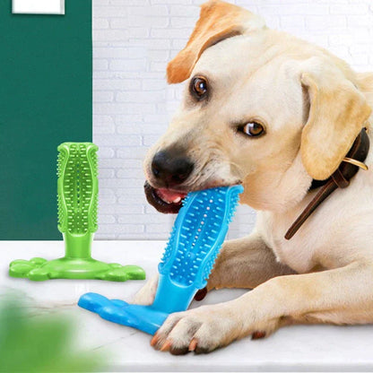 Ultimate Dental Toy for Your Dog's Oral Health