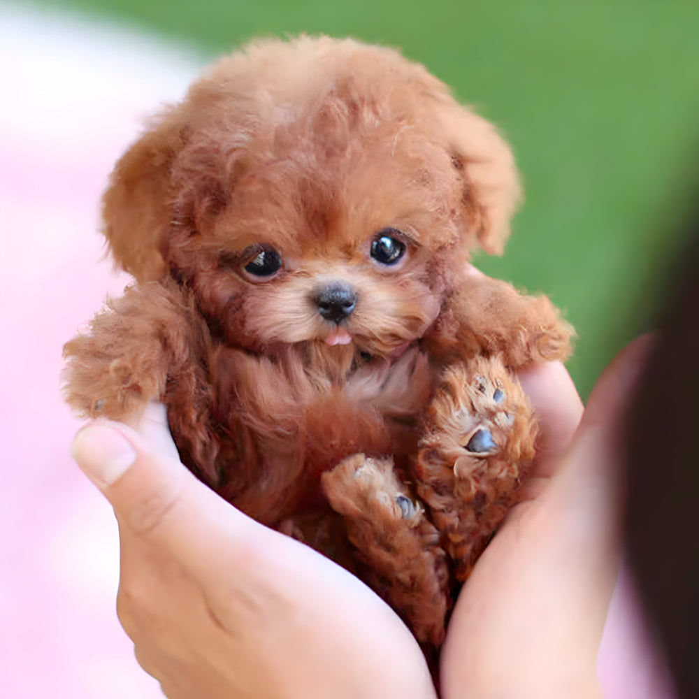 PawPal Interactive Robotic Puppy Toy for Kids